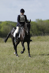 BVHT 140517 -88