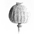 Poppy Head 01