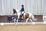 SBM_003558