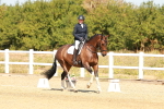 SBM_017895