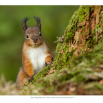 Fine Art Prints portfolio