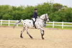 SBM_005921