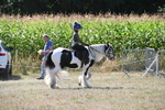 WJ6_8953
