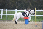 SBM_003972