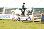 SBM_11955