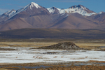 Vinunas Crossing a Salt Pan