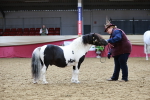 SBM_01262
