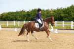 SBM_007642