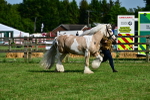 SBM_10084