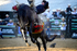3HRodeo_PBR_All-Star_JUL_2026_0329