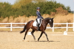 SBM_018433