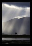 Veiled by Light