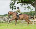 Dunblane show-670