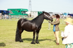 SBM_00905