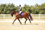 SBM_006693