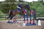 JAC_3562