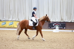 SBM_007669