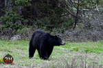 3HPhotography5-20-25_GTNP_399_