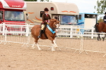SBM_17042
