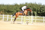 SBM_008084