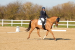 SBM_003481