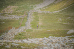 Ennerdale-21