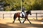 SBM_18291