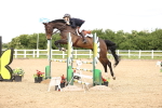 SBM_006646
