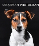 equiscot1926