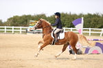 SBM_002900