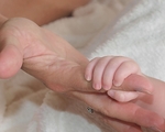 Brinley_035