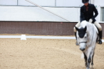 SBM_007723