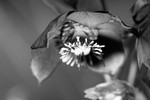 20120226-_MG_8860