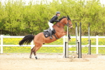 SBM_005352