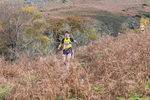 Stybarrow Dodd-680
