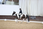 SBM_02072
