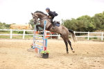 SBM_003290