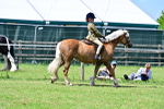 SBM_07867