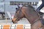 BPP_1099
