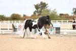 SBM_09291