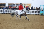SBM_003923