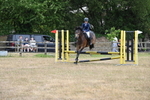 Class 14 Intermediate Jumping 75cm portfolio