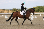 SBM_022024