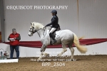 BPP_2504