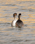 20140315-3K8A9252