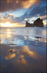 Wharariki Beach, Golden Bay