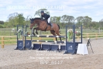 CLASS 29 SUN Senior Newcomers/ 1.10m Open portfolio