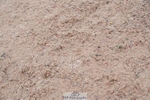 250524-093826-06079