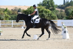 SBM_020190