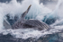Forty Tonne Splash. 0A3A9234